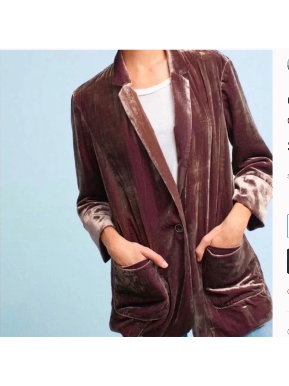 Cartonnier from Anthropologie beautiful iridescent velvet blazer